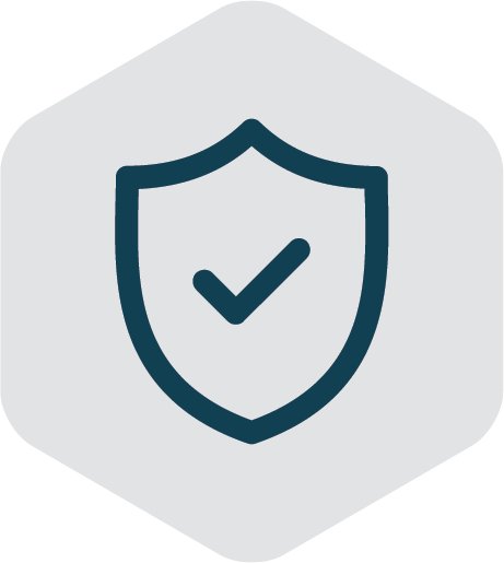 Device Security Analysis Icon